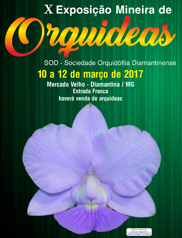 10-exposicao-orquideas